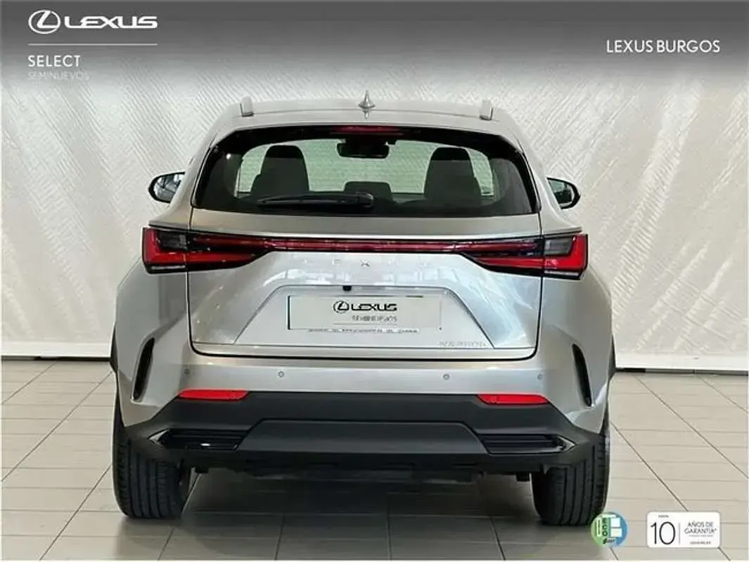 Usado Lexus NX450h+ 306 CV (225 kW) 2025 Gris SUV