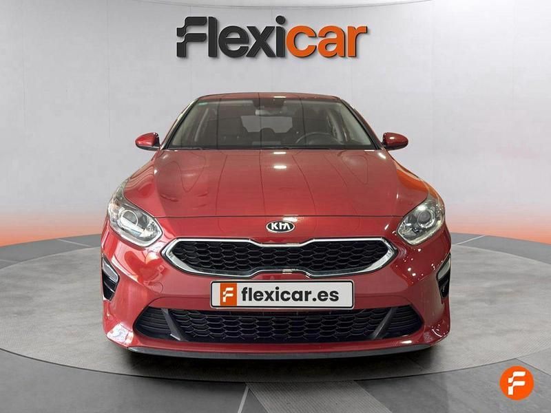 Usado Kia Ceed 100 CV (73 kW) 2019 Rojo Utilitario