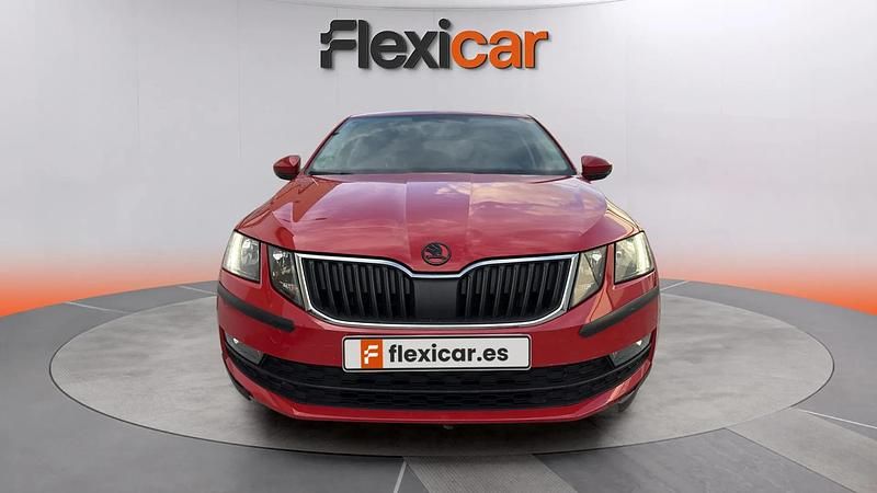 Usado Skoda Octavia Ambition 116 CV (85 kW) 2017 Rojo Familiar