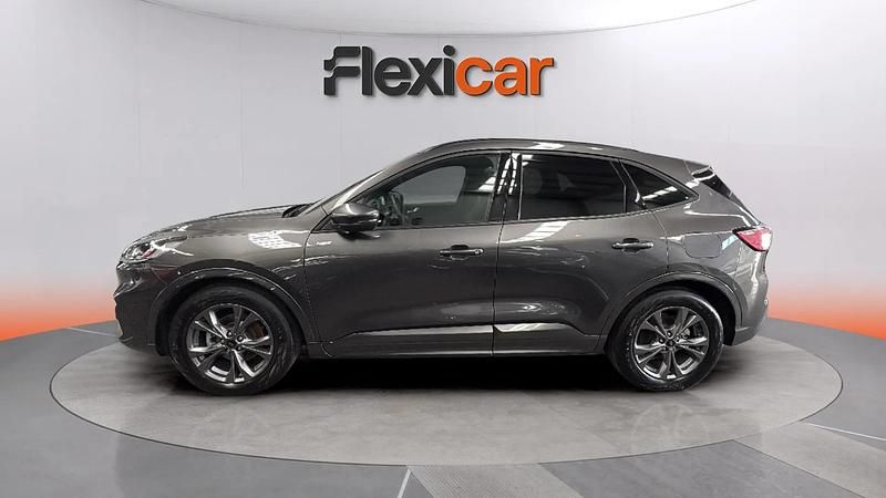 Usado Ford Kuga ST-Line 120 CV (88 kW) 2024 Gris SUV