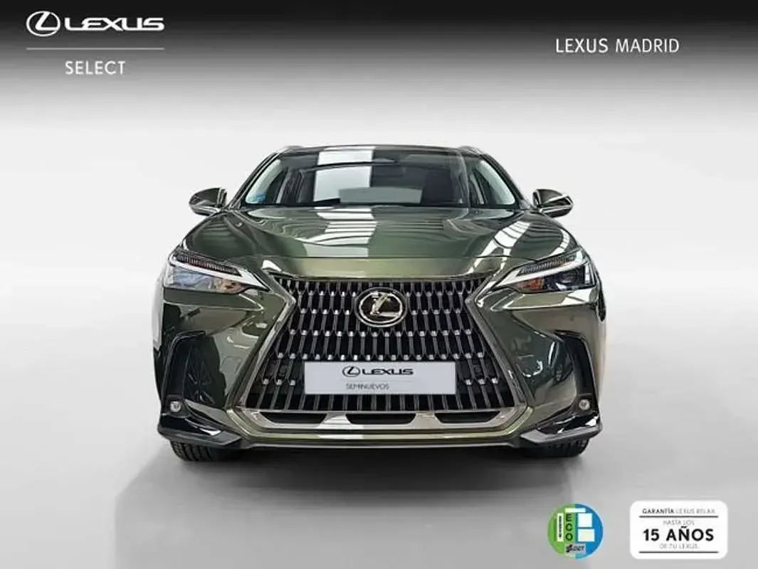 Usado Lexus NX300h Business Edition 242 CV (177 kW) 2022 Verde SUV
