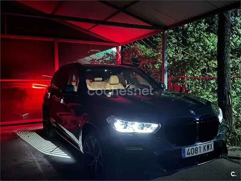 Usado BMW X5 Comfort Edition 258 CV (189 kW) 2019 Azul SUV