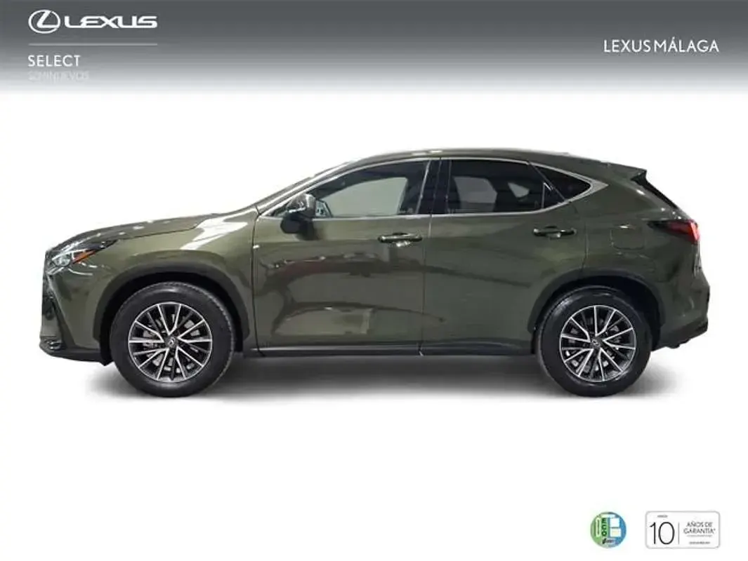 Usado Lexus NX350h Executive Line 242 CV (177 kW) 2023 Verde SUV