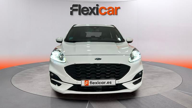 Usado Ford Kuga ST-Line X 150 CV (110 kW) 2022 Blanco SUV