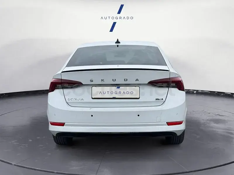 Usado Skoda Octavia Ambition 150 CV (110 kW) 2023 Blanco Berlina