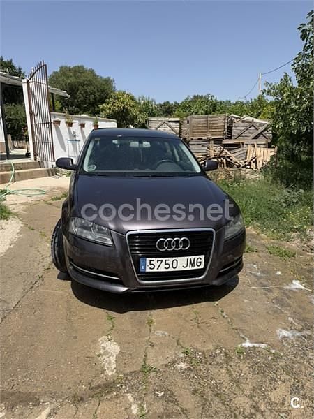 Usado Audi A3 Attraction 105 CV (77 kW) 2011 Negro Utilitario
