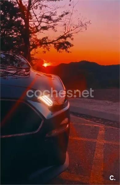 Verde Usado 2020 Ford Mustang GT Coupe | 49.000 € (Precio justo) - Imagen 1/4