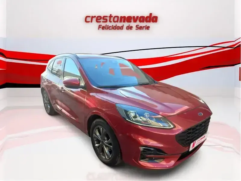 Usado Ford Kuga ST-Line 151 CV (111 kW) 2022 Rojo SUV