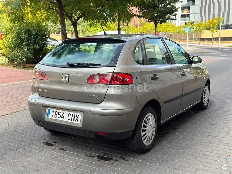 Usado Seat Ibiza Reference 100 CV (73 kW) 2004 Gris / plata Utilitario