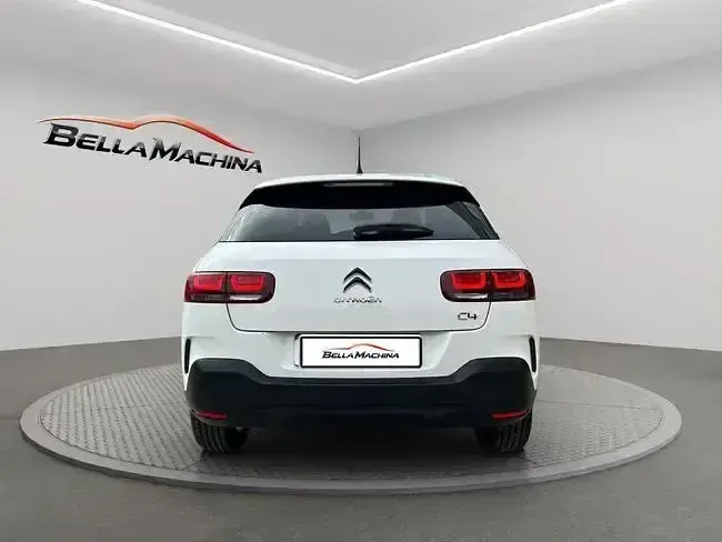 Usado Citroën C4 Cactus Shine 100 CV (73 kW) 2019 Blanco Utilitario