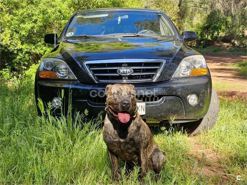 Negro Usado 2007 Kia Sorento X-Line SUV | 5899 € (Precio justo) - Imagen 1/4