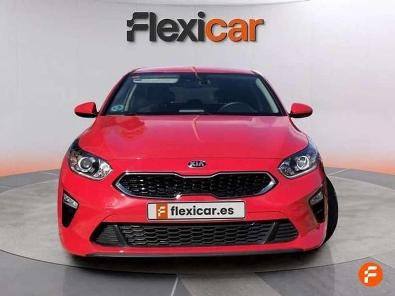 Usado Kia Ceed 120 CV (88 kW) 2019 Rojo Utilitario