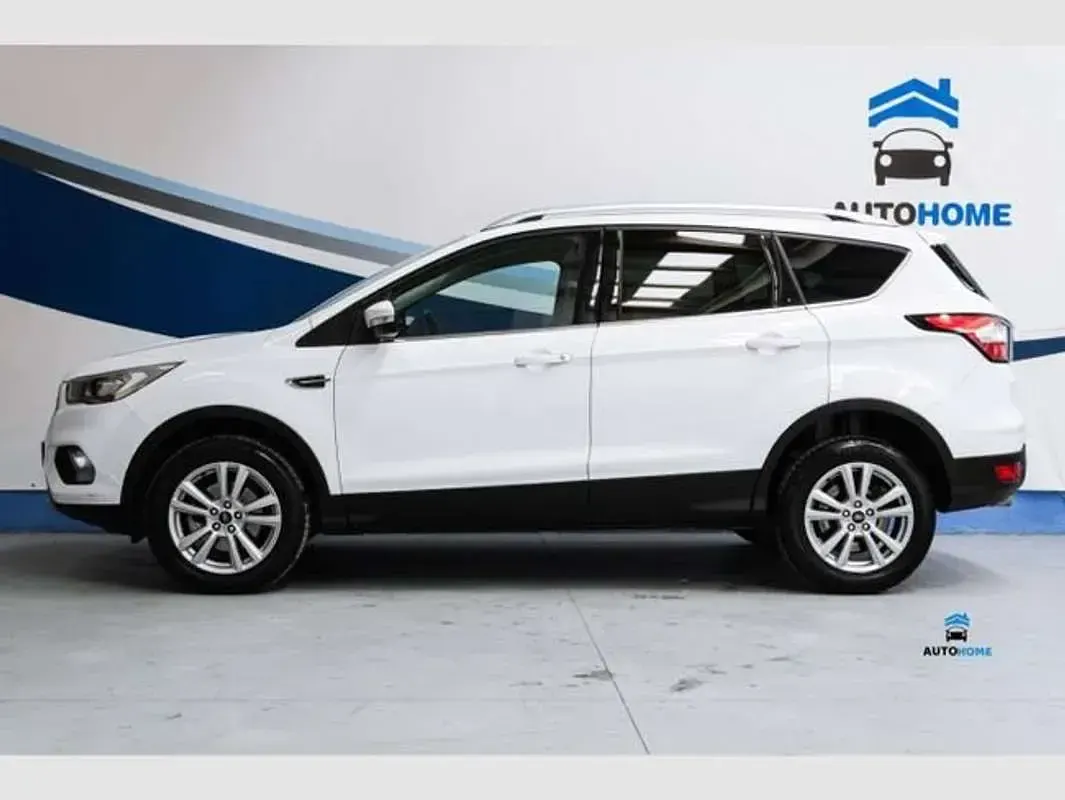 Usado Ford Kuga Trend+ 120 CV (88 kW) 2019 Blanco SUV
