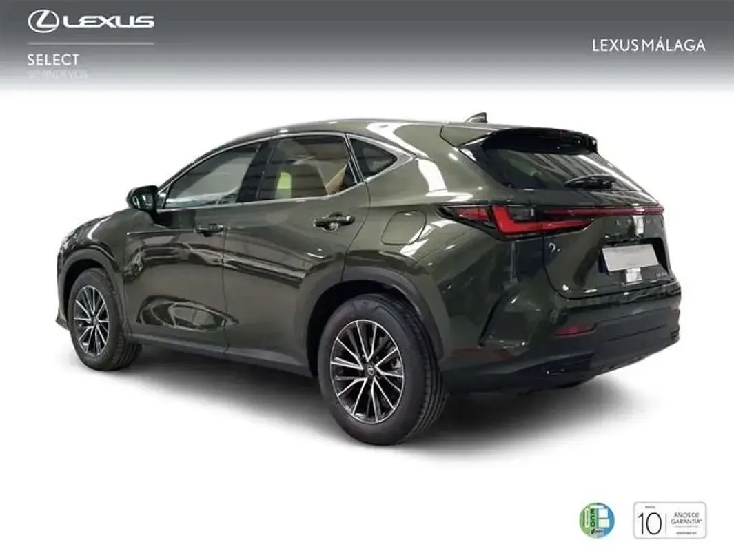 Nuevo Lexus NX350h 242 CV (177 kW) 2026 Verde SUV