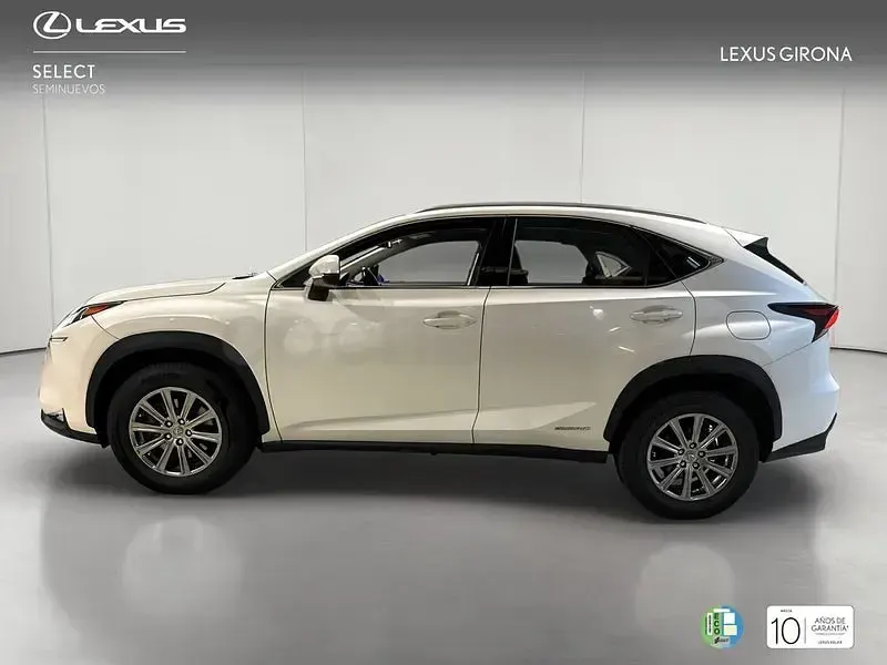 Usado Lexus NX300h Business Edition 197 CV (144 kW) 2018 Blanco SUV
