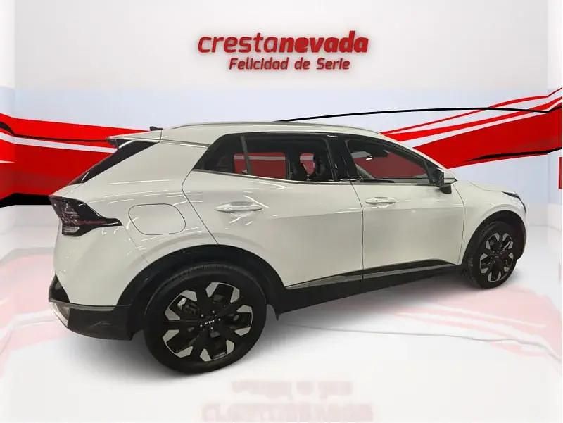 Usado Kia Sportage 265 CV (194 kW) 2022 SUV