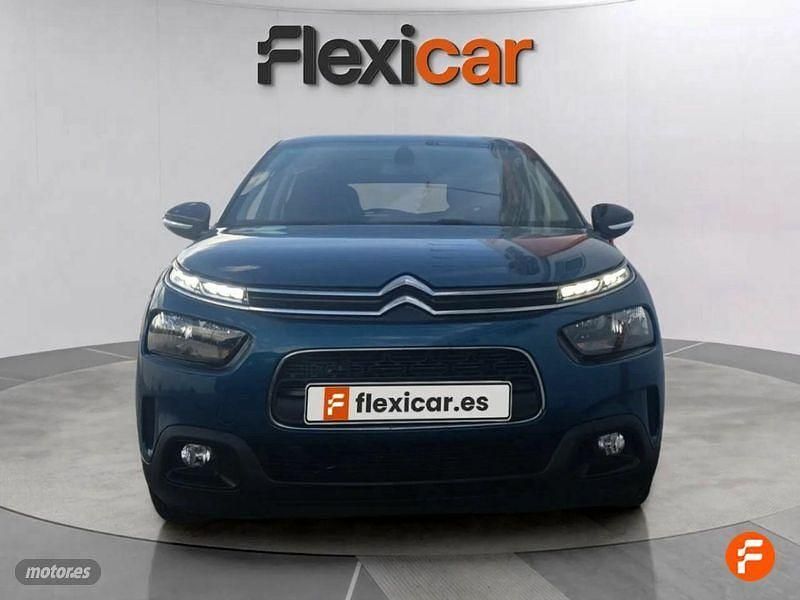 Usado Citroën C4 Cactus Shine 102 CV (75 kW) 2019 Azul Utilitario