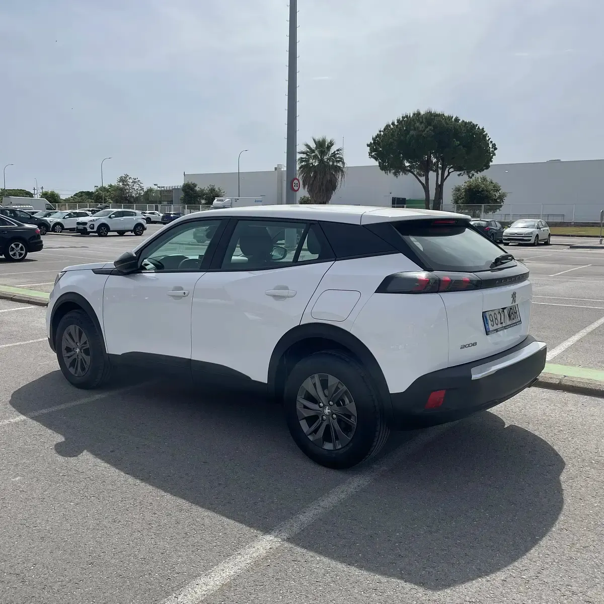 Brugt Peugeot 2008 Active 110 HK (80 kW) 2022 Hvid SUV