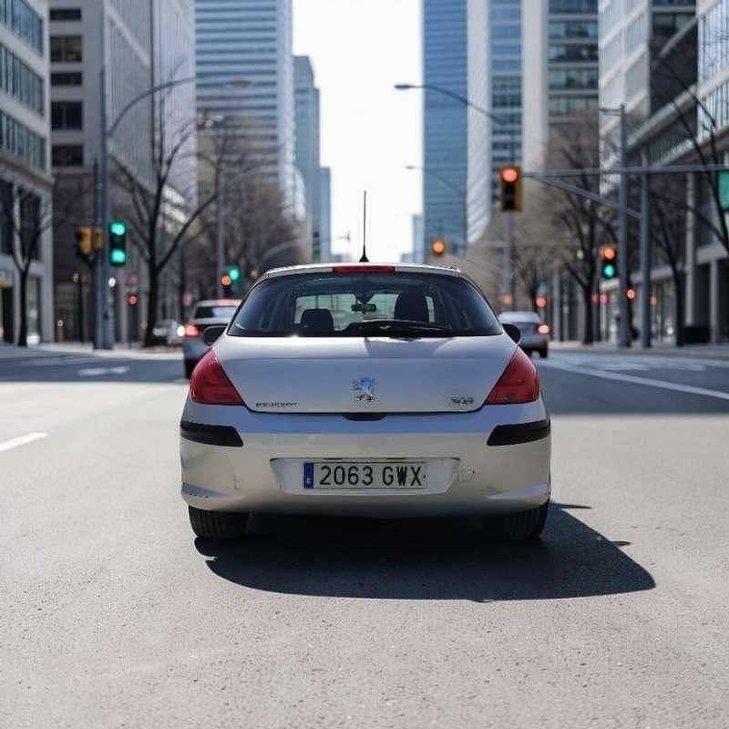 Usado Peugeot 308 Business-Line 92 CV (67 kW) 2010 Gris Utilitario
