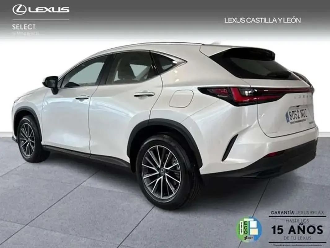 Usado Lexus NX350h 242 CV (177 kW) 2025 Blanco SUV