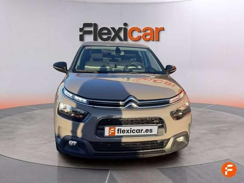 Usado Citroën C4 Cactus Feel 110 CV (80 kW) 2019 Gris Utilitario