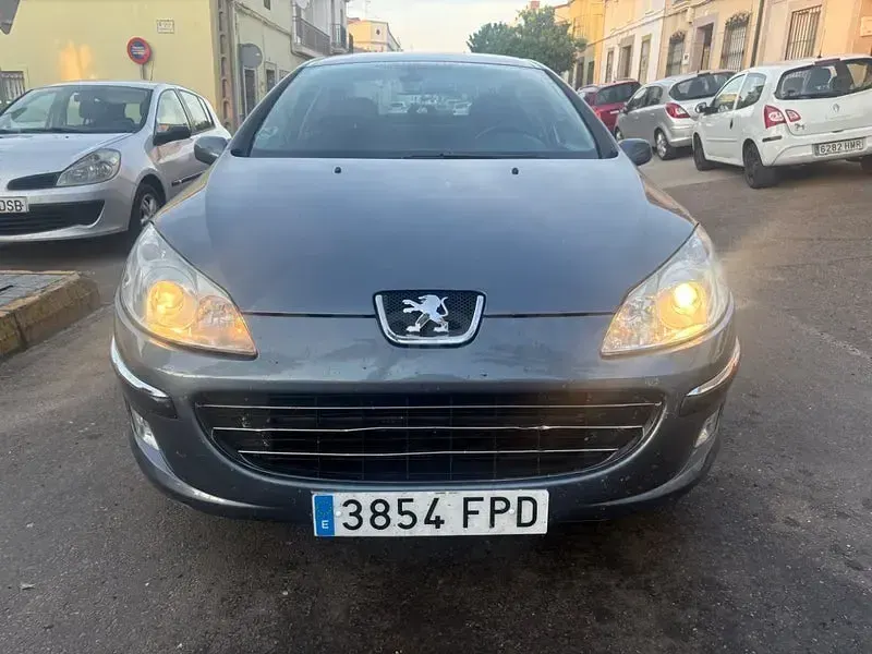 Usado Peugeot 407 Premium 136 CV (100 kW) 2007 Gris / plata Berlina