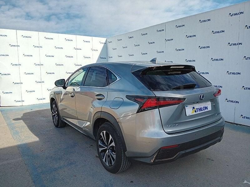 Usado Lexus NX300h Sport Line 197 CV (144 kW) 2020 Gris SUV