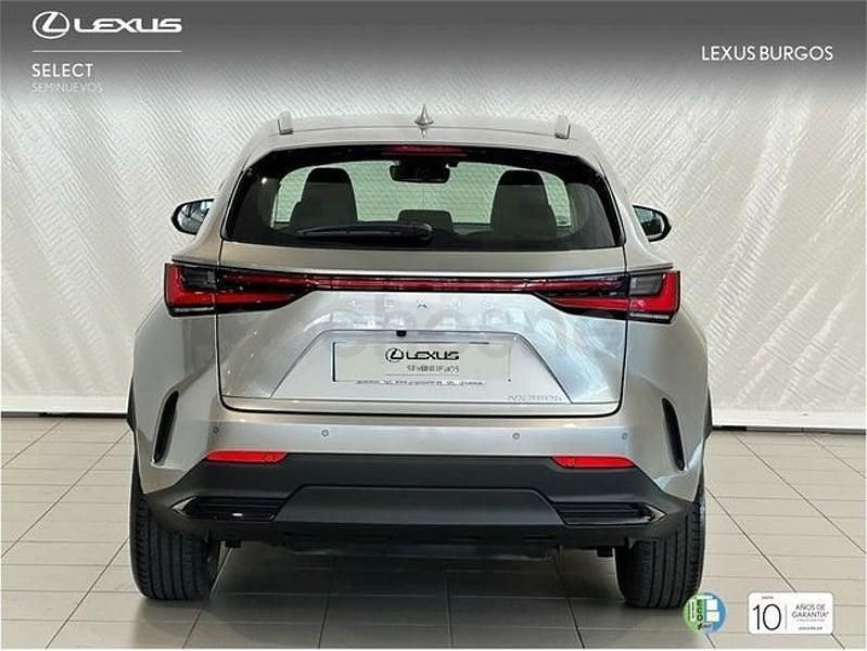 Usado Lexus NX450h+ 306 CV (225 kW) 2025 Gris / plata SUV
