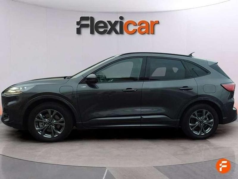 Usado Ford Kuga ST-Line 225 CV (165 kW) 2020 Gris SUV