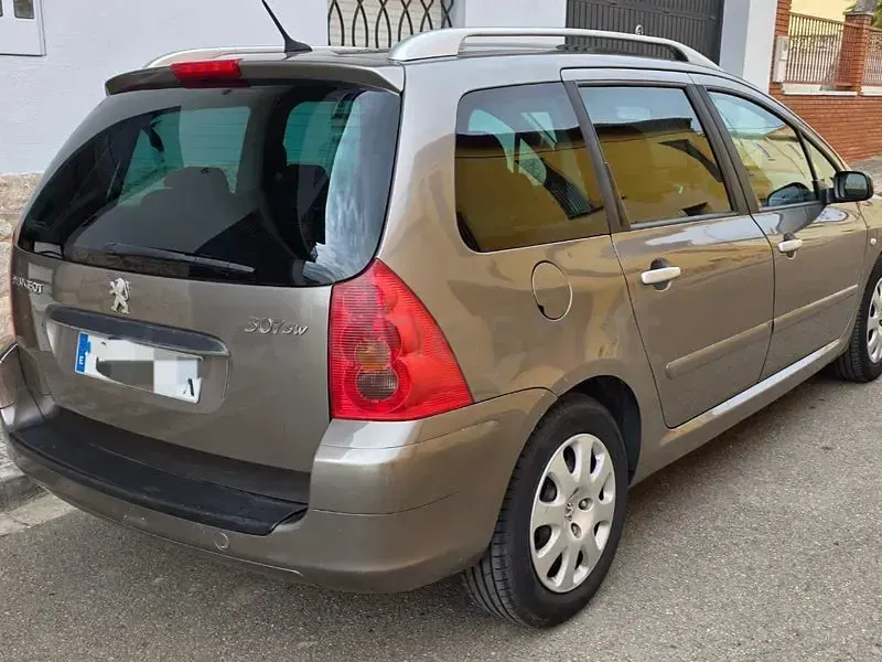 Usado Peugeot 307 110 CV (80 kW) 2004 Marrón Familiar