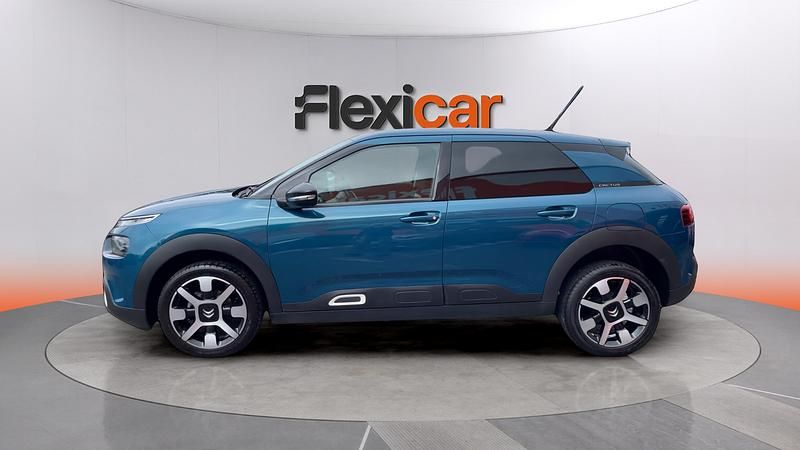 Usado Citroën C4 Cactus Shine 102 CV (75 kW) 2019 Azul Utilitario