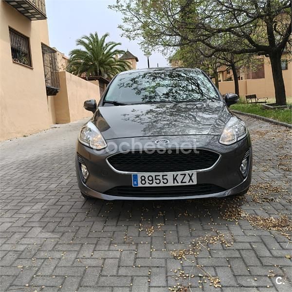 Usado Ford Fiesta Trend 85 HP (62 kW) 2019 Cinzento Citadino