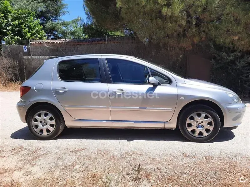 Usado Peugeot 307 110 CV (80 kW) 2005 Gris / plata Berlina