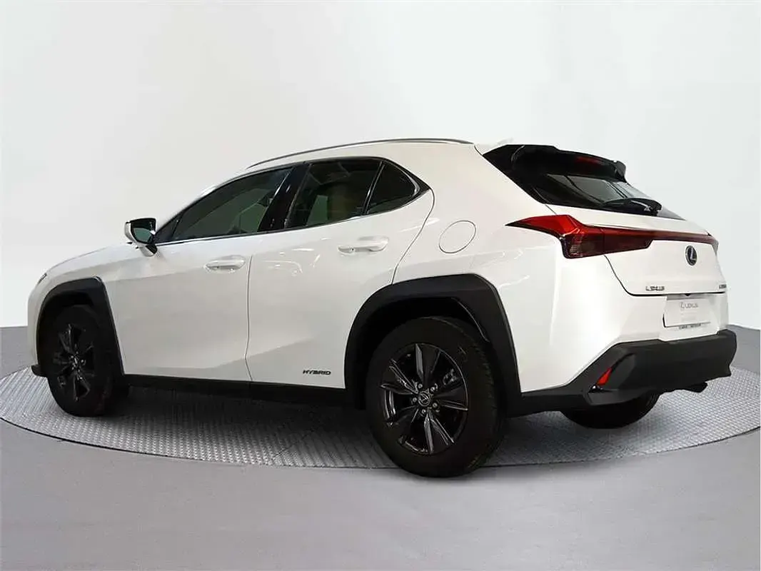 Usado Lexus UX 250h Business Edition 184 CV (135 kW) 2019 SUV