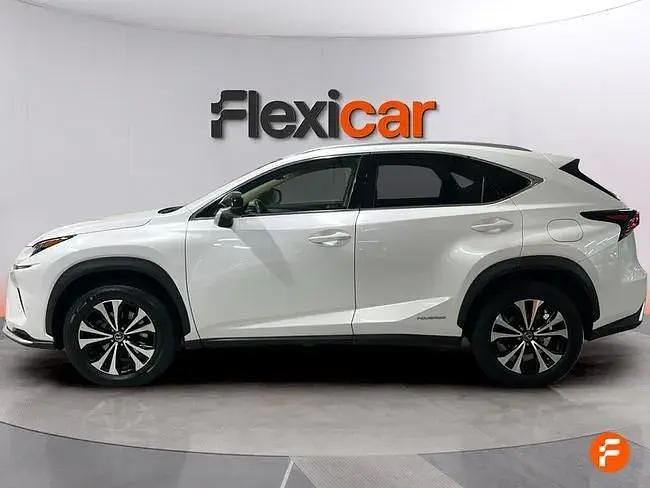 Usado Lexus NX300h 197 CV (144 kW) 2021 Blanco SUV