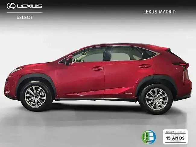 Usado Lexus NX300h Business Edition 197 CV (144 kW) 2020 Rojo SUV