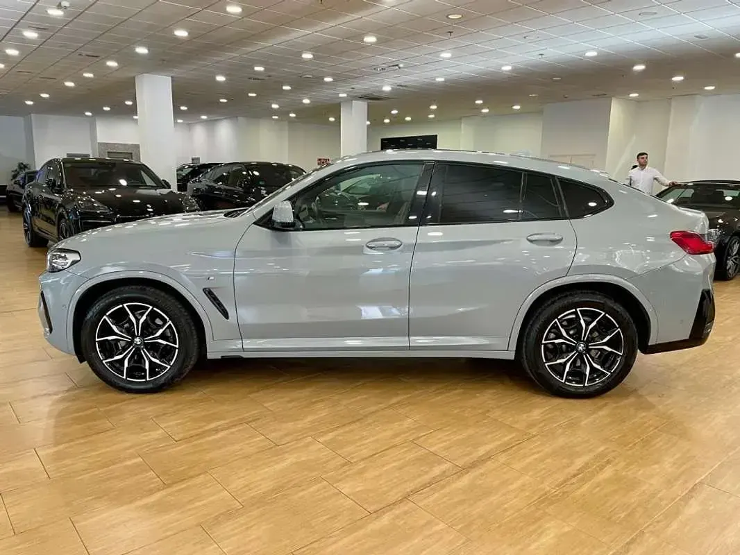 Usado BMW X4 xLine 190 CV (139 kW) 2022 Gris SUV