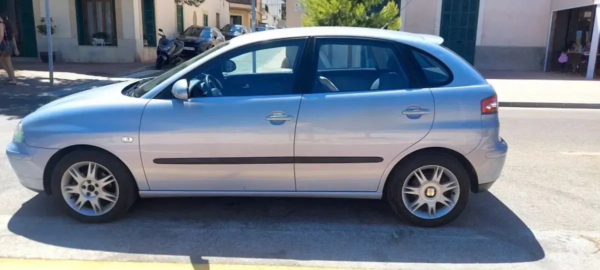 Usado Seat Ibiza 75 CV (55 kW) 2003 Gris Utilitario
