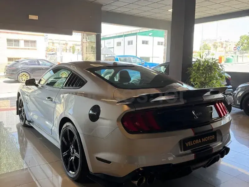 Usado Ford Mustang Fastback 291 CV (214 kW) 2019 Gris / plata Coupe