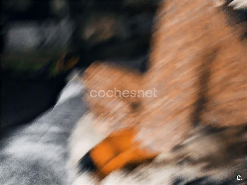 Usado Peugeot 308 SW Business-Line 100 CV (73 kW) 2020 Blanco Familiar