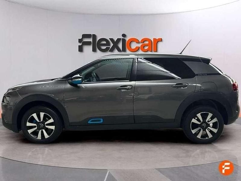 Usado Citroën C4 Cactus Feel 110 CV (80 kW) 2019 Gris Utilitario