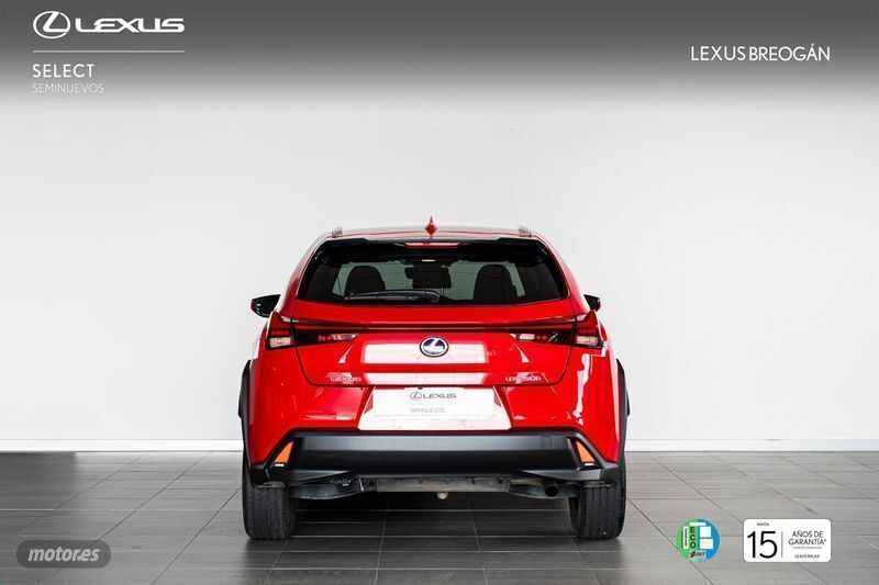 Usado Lexus UX 250h Business Edition 184 CV (135 kW) 2020 Rojo SUV
