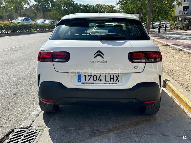Usado Citroën C4 Cactus 102 CV (75 kW) 2020 Blanco Utilitario