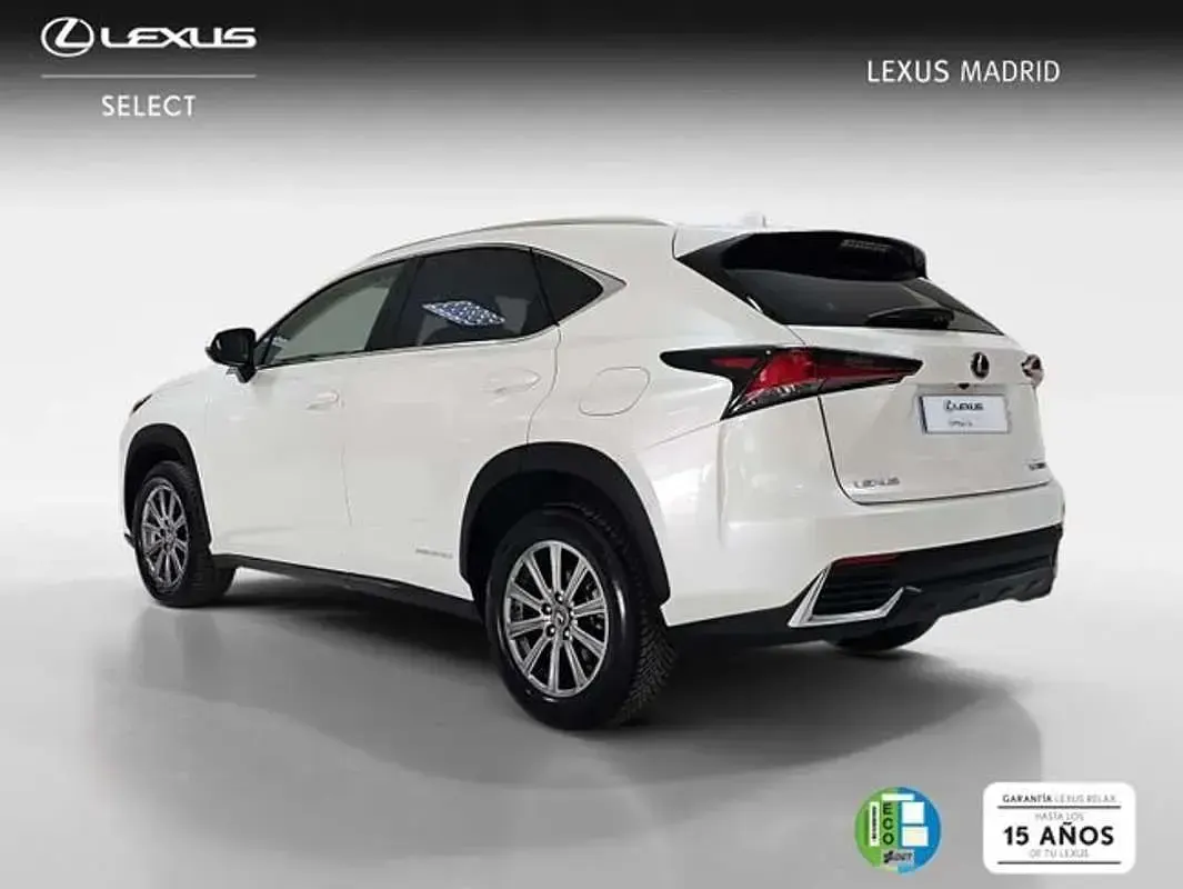 Usado Lexus NX300h Business Edition 197 CV (144 kW) 2019 Blanco SUV
