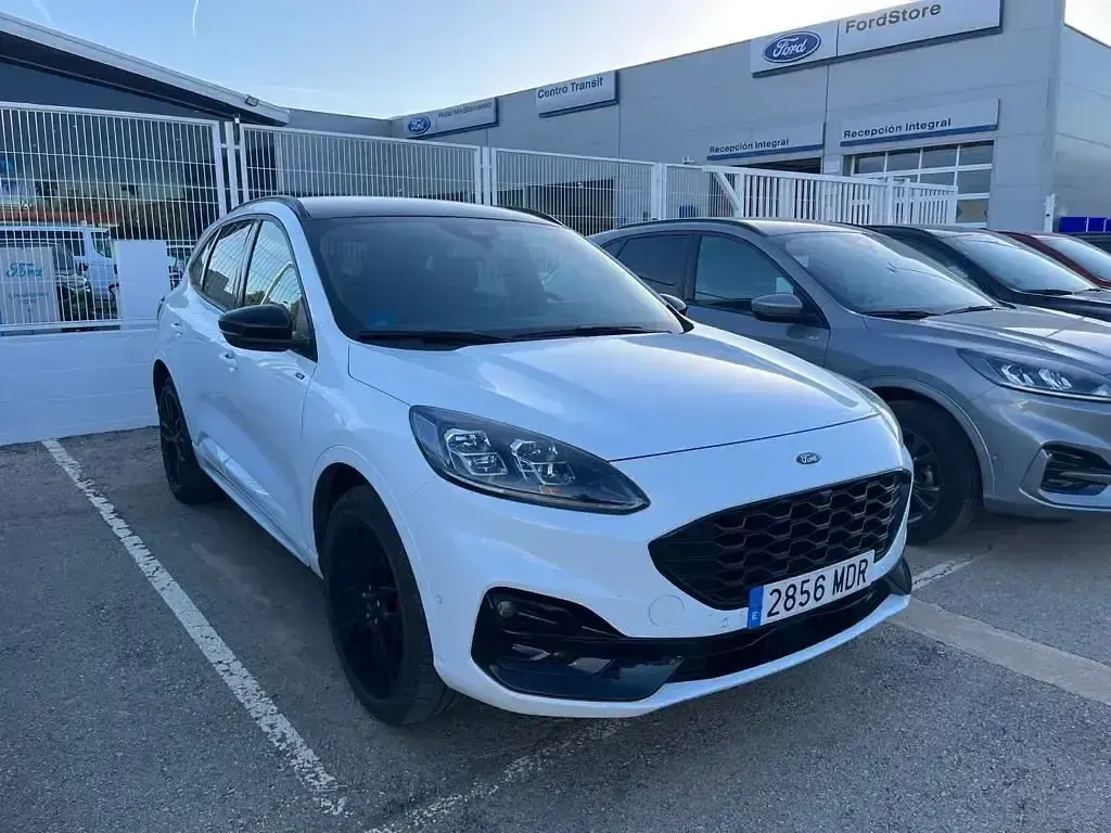 Usado Ford Kuga ST-Line X 225 CV (165 kW) 2023 Blanco SUV
