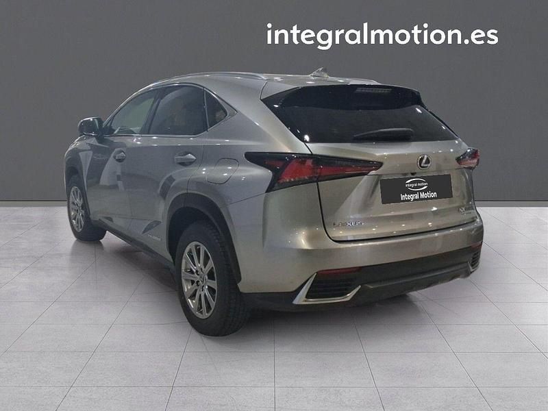 Usado Lexus NX300h Business Edition 197 CV (144 kW) 2020 Gris SUV