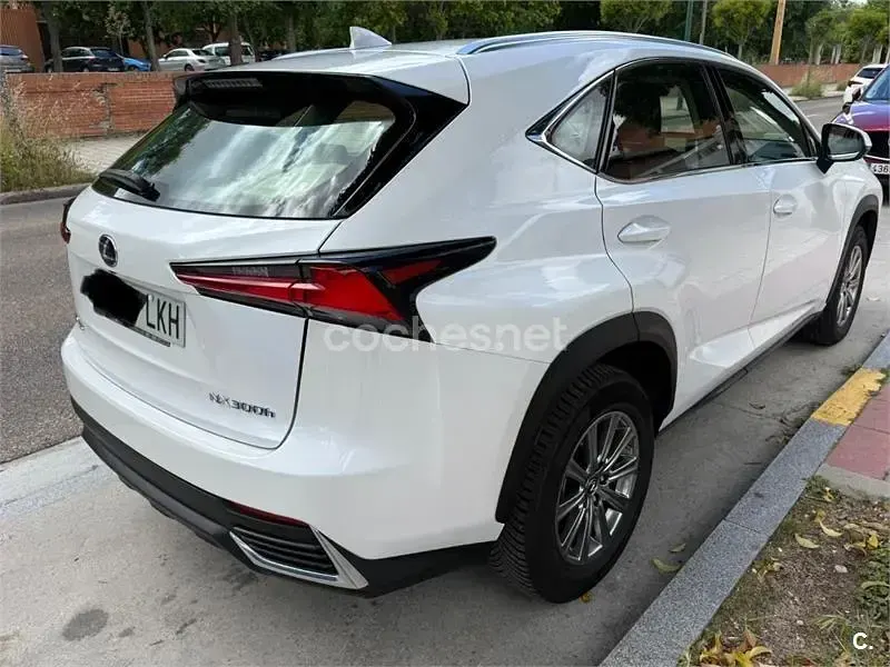 Usado Lexus NX300h Business Edition 197 CV (144 kW) 2020 Blanco SUV
