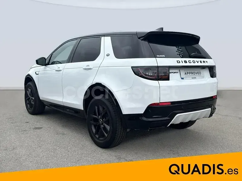 Occasion Land Rover Discovery Sport SE Dynamic 163 ch (119 kW) 2025 Blanc SUV