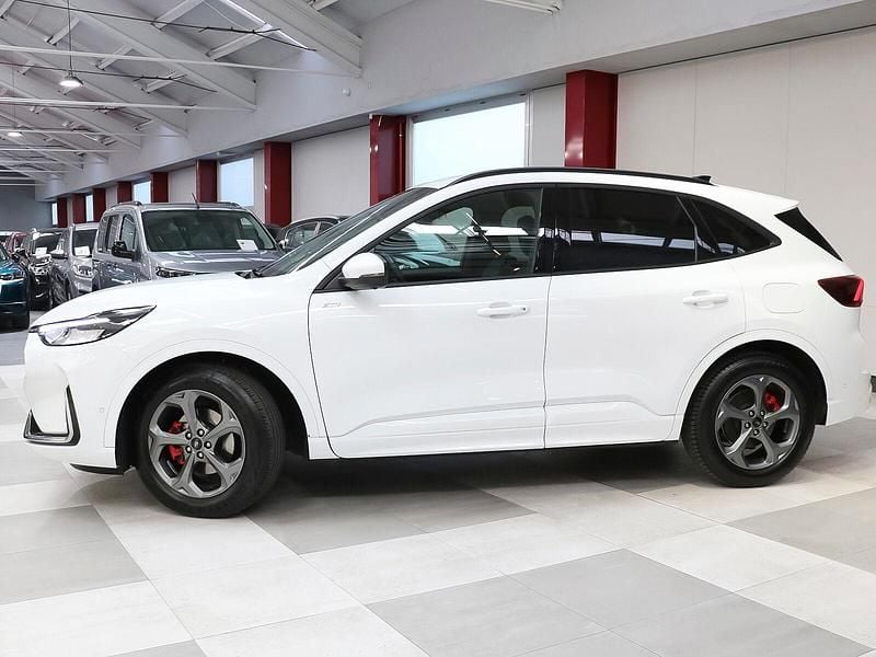 Usado Ford Kuga ST-Line X 180 CV (132 kW) 2025 Blanco SUV