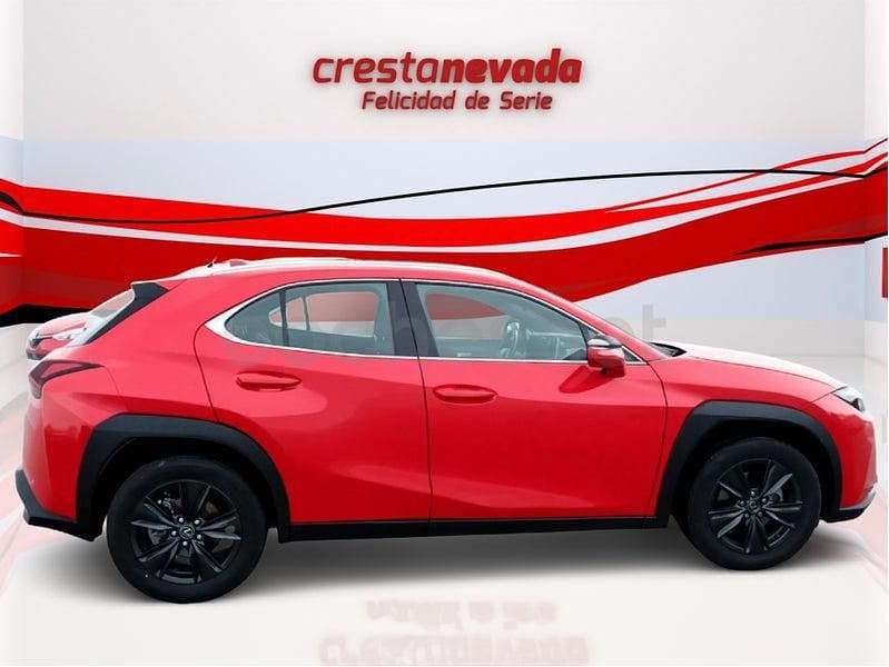 Usado Lexus UX Business Edition 184 CV (135 kW) 2022 Rojo SUV
